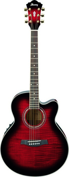 Электроакустическая гитара IBANEZ AEL20E-TRS в магазине Music-Hummer