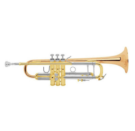 Труба Bb Bach 180 37G Stradivarius в магазине Music-Hummer