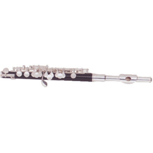 Флейта пикколо С BOSTON PF-850S в магазине Music-Hummer
