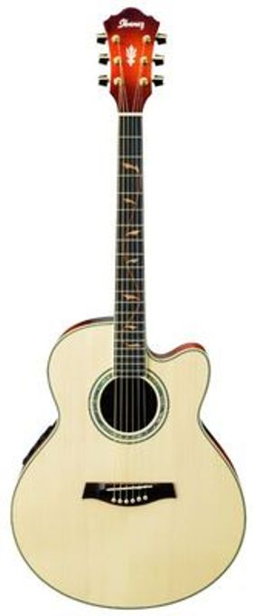Электроакустическая гитара Ibanez AEL40SE RLV в магазине Music-Hummer