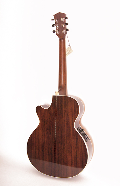 Акустическая гитара PW-570 Parkwood в магазине Music-Hummer