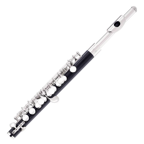 Флейта пикколо C ARMSTRONG 307 в магазине Music-Hummer
