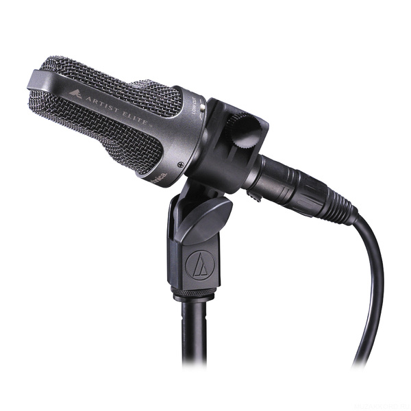 Студийный микрофон AUDIO-TECHNICA AE3000 в магазине Music-Hummer