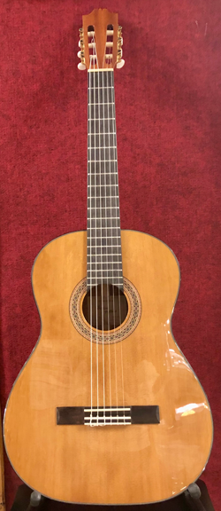 Гитара классическая Badem C-5 в магазине Music-Hummer