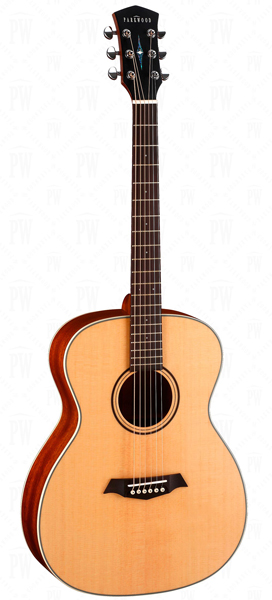 Акустическая гитара S22-NS Parkwood в магазине Music-Hummer
