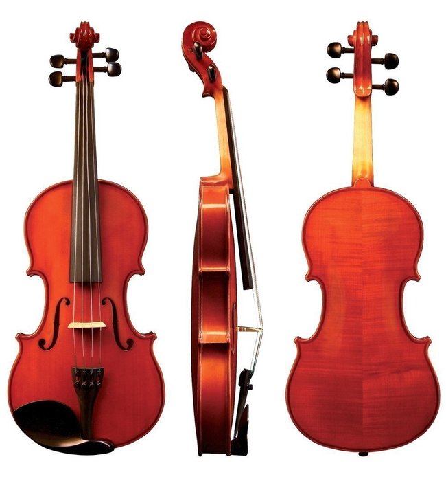 GEWA Violin Allegro 4/4 в магазине Music-Hummer