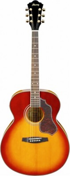 Акустическая гитара Ibanez SGT630E Honey Sunburst в магазине Music-Hummer