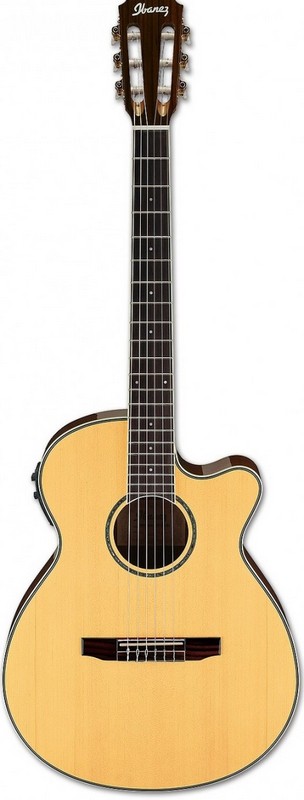 Электроакустическая гитара IBANEZ AEG10NII-NT в магазине Music-Hummer
