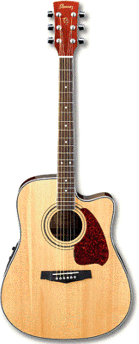 Электроакустическая гитара Ibanez PF60SECE NT в магазине Music-Hummer