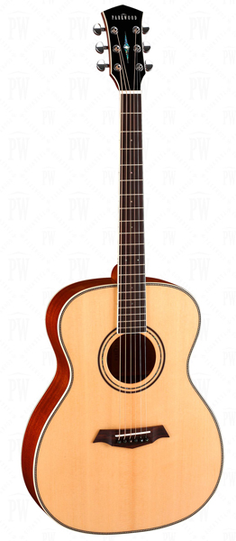 Акустическая гитара, с футляром Parkwood P620 в магазине Music-Hummer