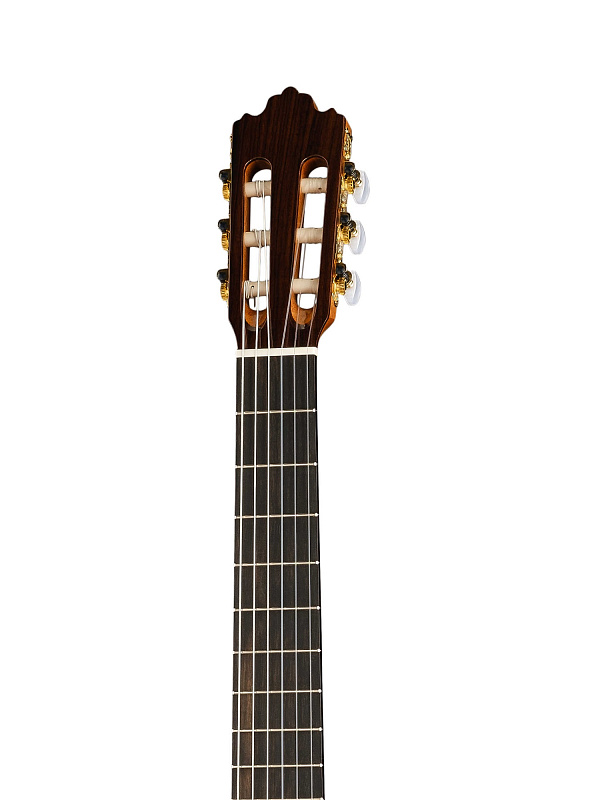 Фото Классическая гитара 4/4 Prodipe JMFSOLOIST700 Soloist 700
