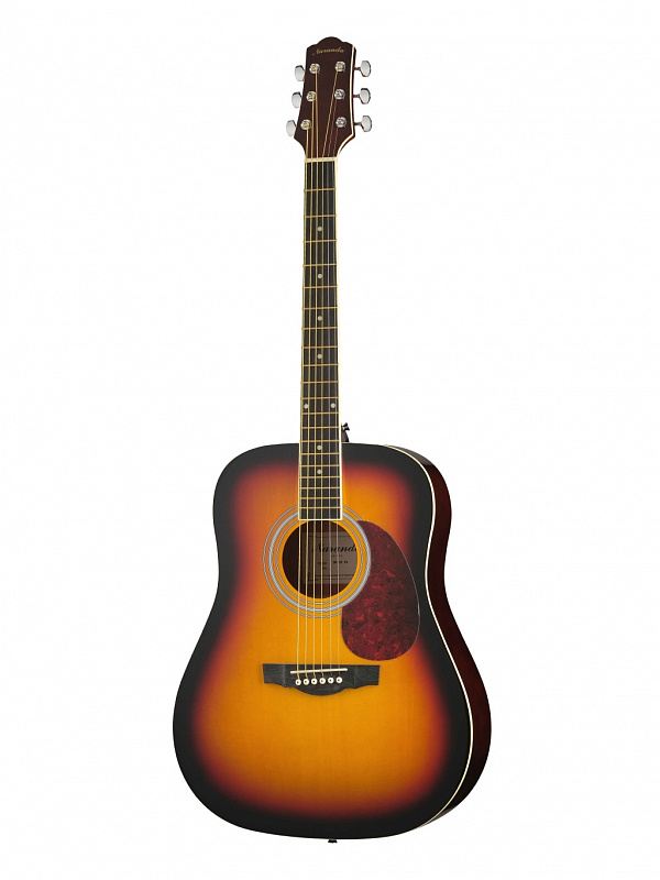 Акустическая гитара Naranda DG120VS в магазине Music-Hummer