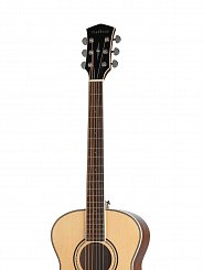 Акустическая гитара Parkwood P630-WCASE-NAT