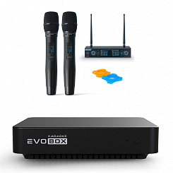 Караоке-система Evolution EVOBOX с 2 микрофонами Silver
