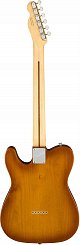 Fender American Performer Telecaster® RW, Honey Burst