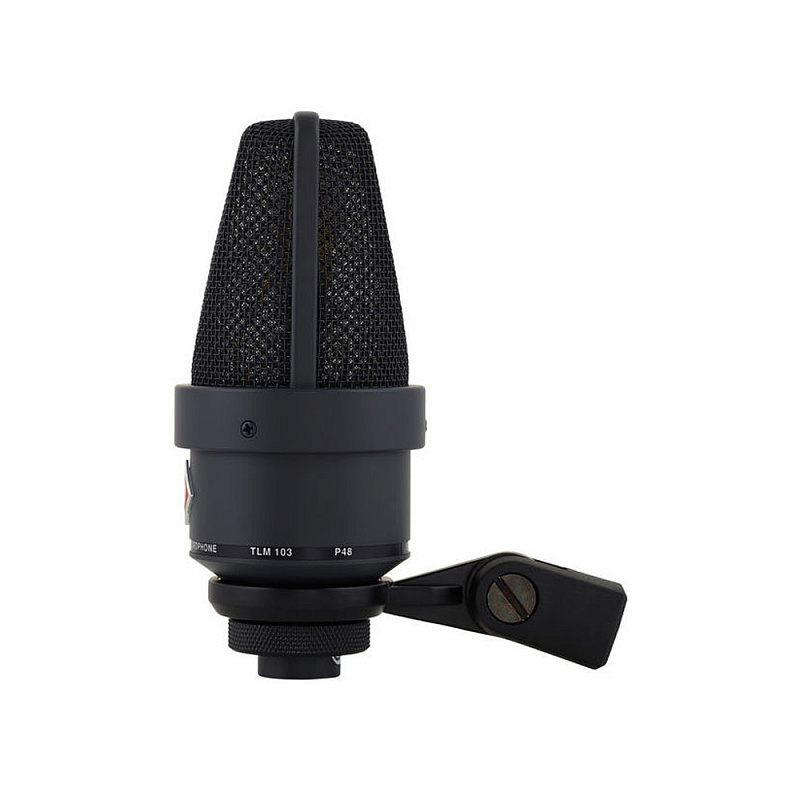 Студийный конденсаторный микрофон NEUMANN TLM 103 MT в магазине Music-Hummer