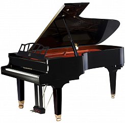 Рояль акустический Wendl&Lung W218BK черный