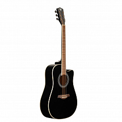 Акустическая гитара ROCKDALE Aurora D6 Gloss C BK