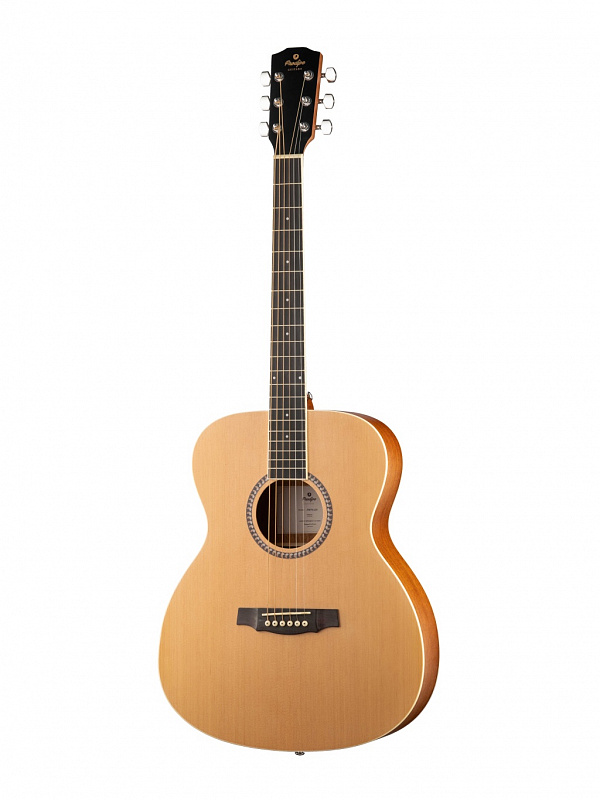 Акустическая гитара Prodipe JMFSA25 EA SA25 в магазине Music-Hummer