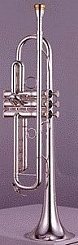 Труба Yamaha YTR-8335RGS Xeno