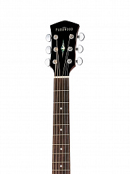 Электро-акустическая гитара GA28-GT Parkwood
