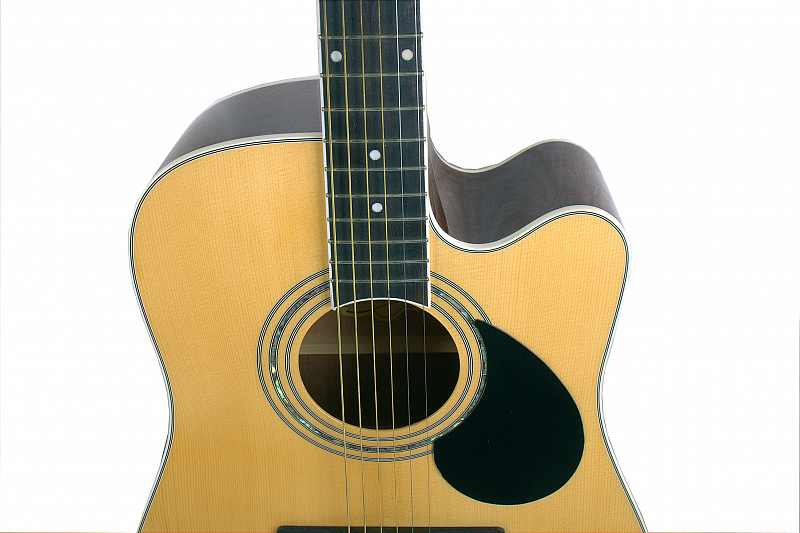 Акустическая гитара GREG BENNETT GD100SC/N в магазине Music-Hummer