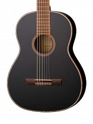 Классическая гитара Ortega R221BK Family Series 