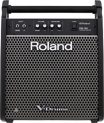 Монитор Roland PM-100