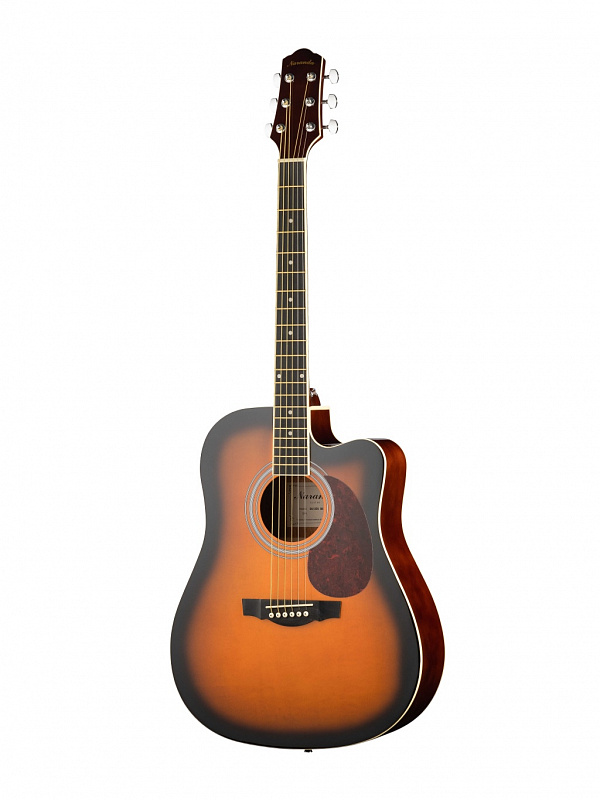 Акустическая гитара Naranda DG120CBS в магазине Music-Hummer