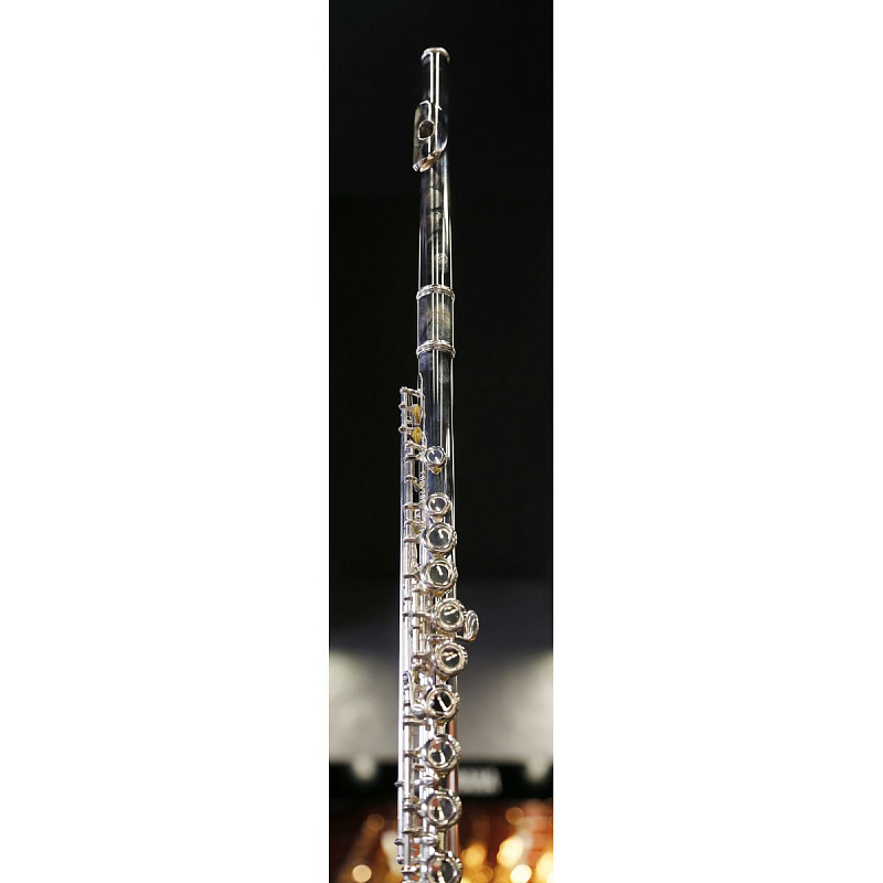 Флейта ученическая MIYASHIRU FL-100S в магазине Music-Hummer