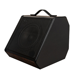 Комбоусилитель ROCKDALE Stone 30