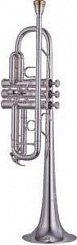 Труба Yamaha YTR-8445GS Xeno