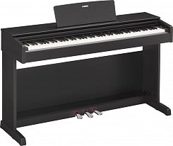Цифровое пианино Yamaha YDP-143B Arius