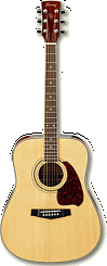 Электроакустическая гитара Ibanez PF60SE NT