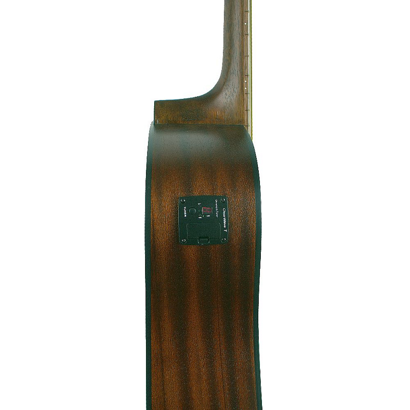 Акустическая гитара GREG BENNETT GD50T/OPN в магазине Music-Hummer