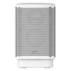 Беспроводные решения / мультирум RIVA Audio Arena Battery