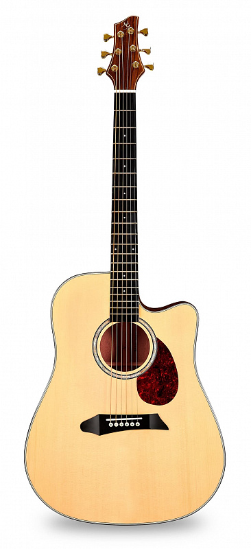 Акустическая гитара NG DM411SC NA в магазине Music-Hummer