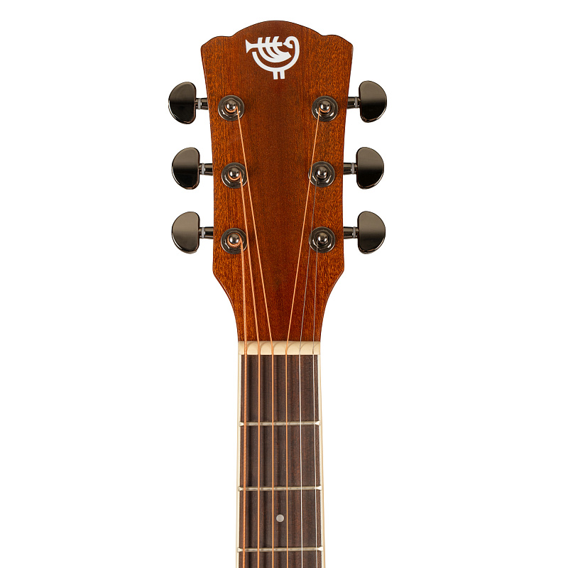 Акустическая гитара ROCKDALE Aurora D6 Gloss NAT в магазине Music-Hummer