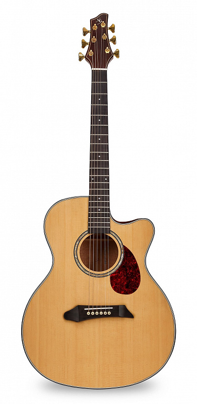 Акустическая гитара NG GM411SC NA в магазине Music-Hummer