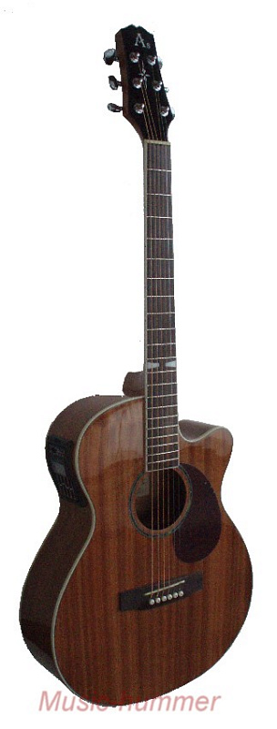 Электроакустическая гитара Axen AFS222 в магазине Music-Hummer