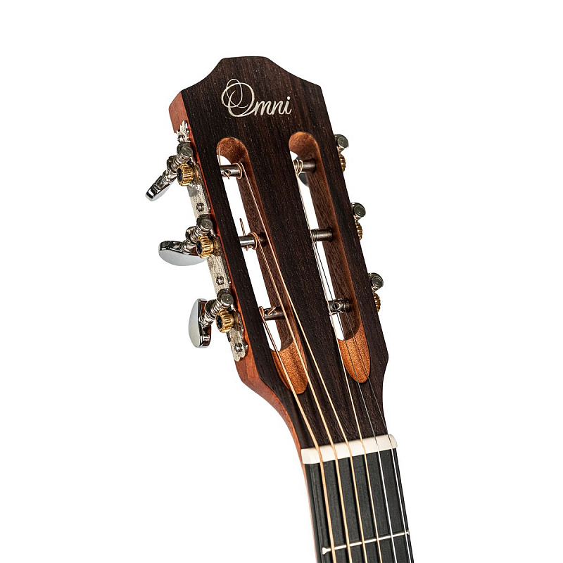 Акустическая гитара Omni P-250M в магазине Music-Hummer