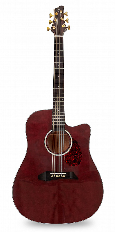 Акустическая гитара NG DM411SC BR в магазине Music-Hummer
