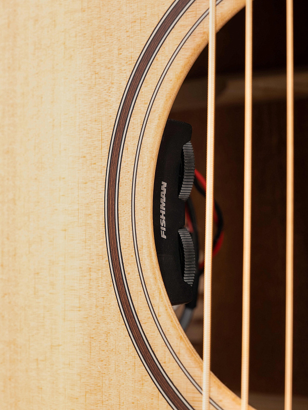 Электро-акустическая гитара Parkwood S26-GT в магазине Music-Hummer