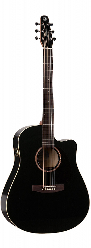 Seagull ENTOURAGE CW QI Black GT Электроакустическая гитара  в магазине Music-Hummer