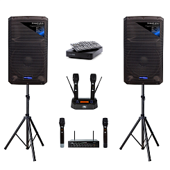 Комплект караоке Evolution Shaker 15th