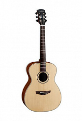 Акустическая гитара PW-220-NS Parkwood