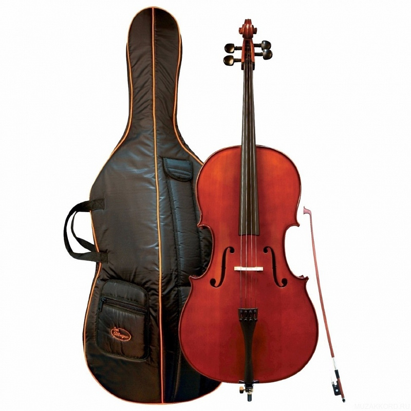 GEWA Cello Outfit Allegro 3/4 в магазине Music-Hummer