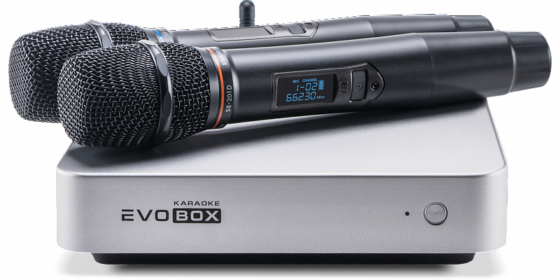 Комплект для караоке Evolution EVOBOX PLUS с микрофонами и саундбаром Silver/Pearl в магазине Music-Hummer