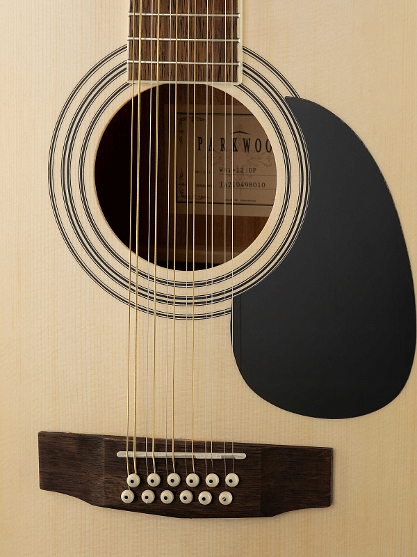 Акустическая гитара Parkwood W81-12-WBAG-OP в магазине Music-Hummer