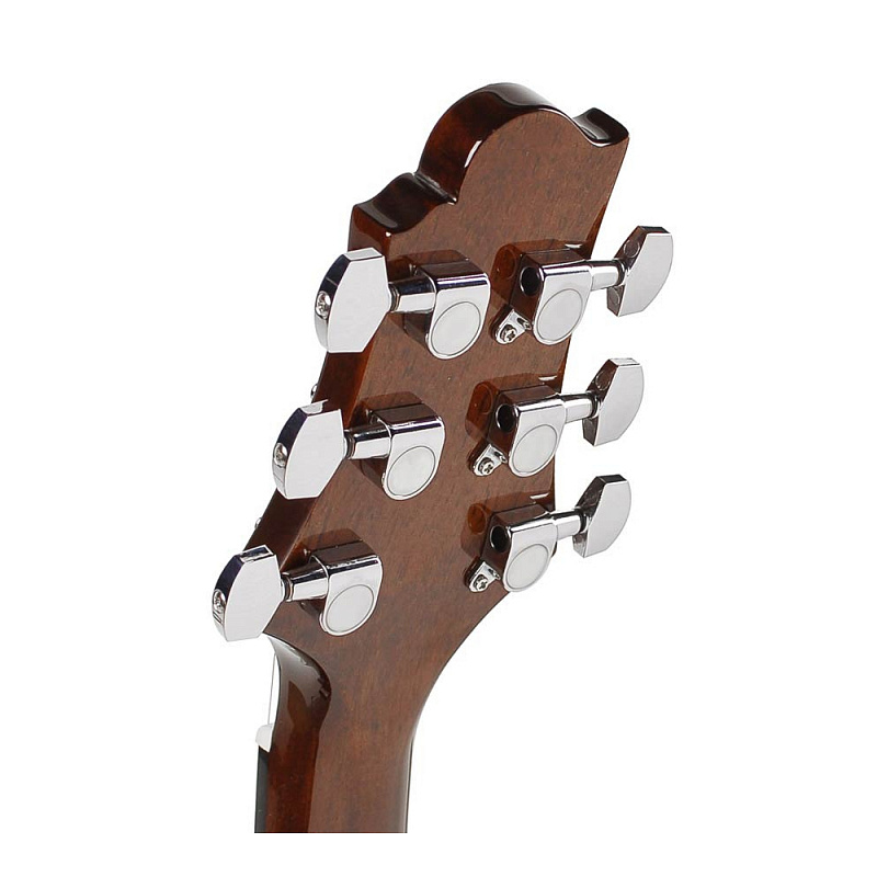 Акустическая гитара GREG BENNETT GJ100S/N в магазине Music-Hummer